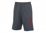 Okami Shorts Workout heather grey
